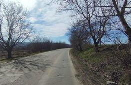 Teren 6500mp Holboca, la strada principala