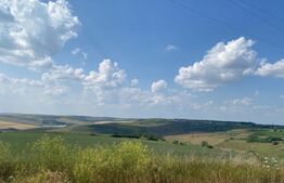 Teren extravilan, 1362 mp, Rediu