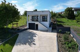 Casa 4 camere, 200 mp, 1050 mp teren, zona Ciurbesti 