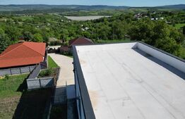 Casa 4 camere, 200 mp, 1050 mp teren, zona Ciurbesti 