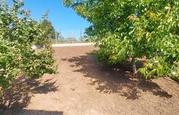 Casa 4 camere, 200 mp, 1050 mp teren, zona Ciurbesti 