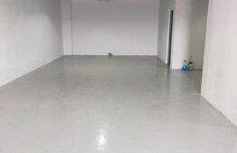 Casa 4 camere, 200 mp, 1050 mp teren, zona Ciurbesti 