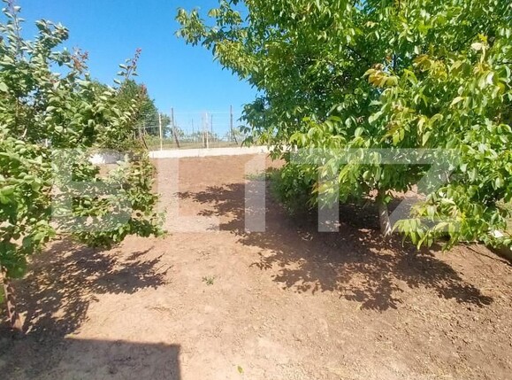 Casa de vânzare 4 camere Miroslava - 149467CV | BLITZ Iași | Poza6