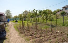 Casa finalizata, casa neterminata, casa la rosu, Horpaz