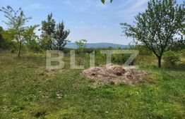 Teren intravilan, 2632 mp, front de 20.7 m, in Ciurea