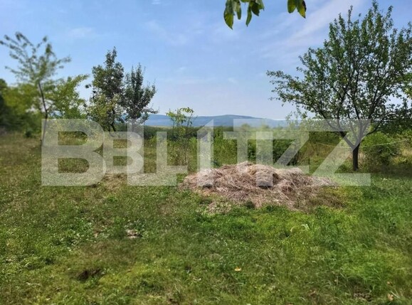 Teren de vânzare Ciurea - 149735TV | BLITZ Iași | Poza4