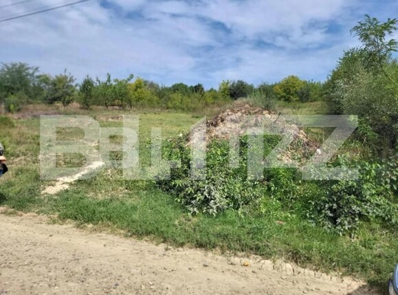 Teren de vânzare Ciurea - 149735TV | BLITZ Iași | Poza3