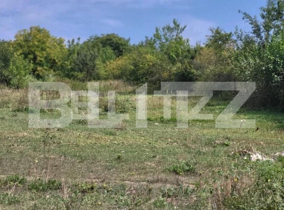 Teren de vânzare Ciurea - 149735TV | BLITZ Iași | Poza5