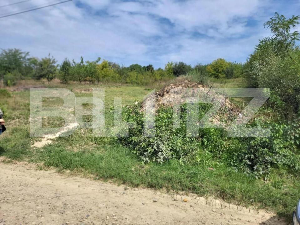 Teren de vânzare Ciurea - 149735TV | BLITZ Iași | Poza3