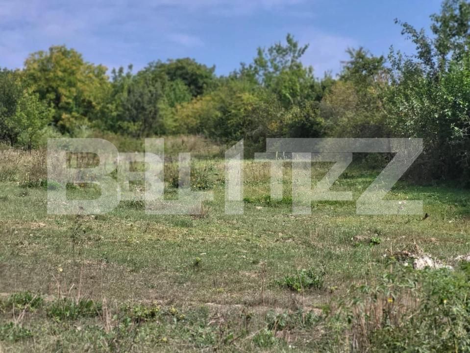 Teren de vânzare Ciurea - 149735TV | BLITZ Iași | Poza5