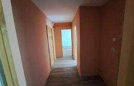 Apartament 2 camere , 54.5 mp , zona  Frumoasa