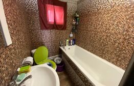 Casa batraneasca 65mp utili, teren 290mp, zona Tatarasi