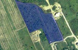 Teren Extravilan Sorogari 20000mp, CU, PUZ in lucru