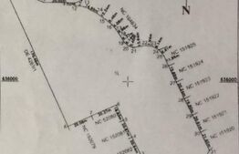 Teren Extravilan Sorogari 20000mp, CU, PUZ in lucru