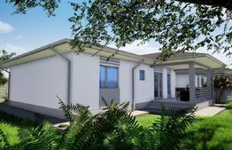 Casa plan parter, 82 mp, 430 mp teren, Vorovesti