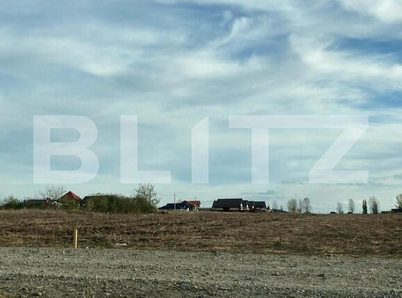 Teren de vânzare Vorovesti - 150066TV | BLITZ Iași | Poza6