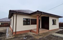 Casa plan parter, 113 mp, 800 mp teren, Valea Lupului