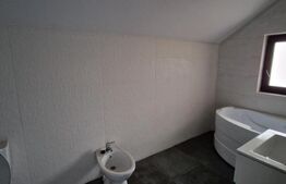 Casa individuala P+M, 120 mp, 500 mp teren, Valea Lupului