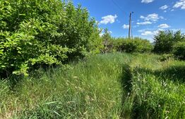 Casa individuala 300mp, 2800mp teren, Barnova Iasi