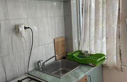 Apartament de 2 camere, 50 mp, zona Palas