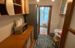 Apartament de 2 camere, 50 mp, zona Palas