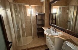 Apartament de 3 camere, 100 mp, etaj intermediar, Central