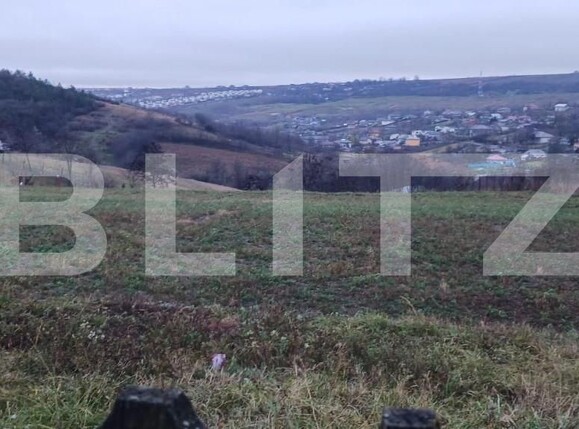 Spațiu industrial de închiriat Breazu - 150747SII | BLITZ Iași | Poza1