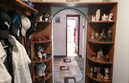 Casa 5 camere, 1100 mp teren, Birnova