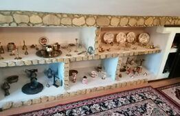 Casa 2 famili, 1100 mp teren, Barnova