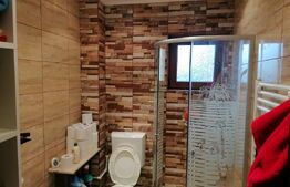 Casa 5 camere, 1100 mp teren, Birnova