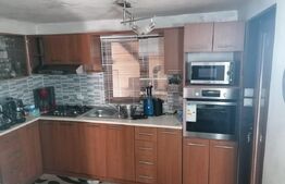 Casa 5 camere, 1100 mp teren, Birnova