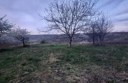 Teren intravilan, 2653 mp, Comarna