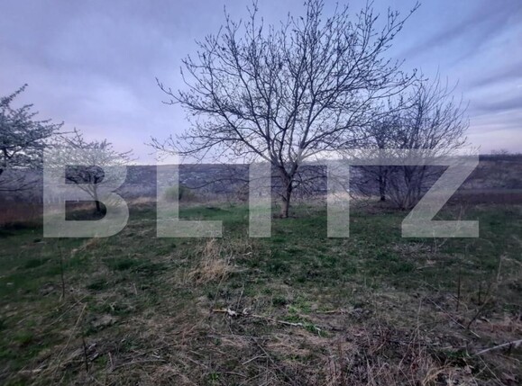 Teren de vânzare Comarna - 150758TV | BLITZ Iași | Poza5