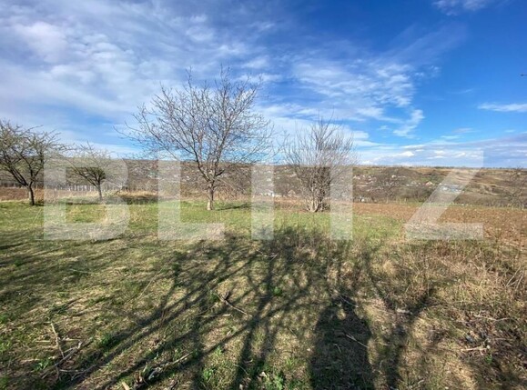 Teren de vânzare Comarna - 150758TV | BLITZ Iași | Poza1