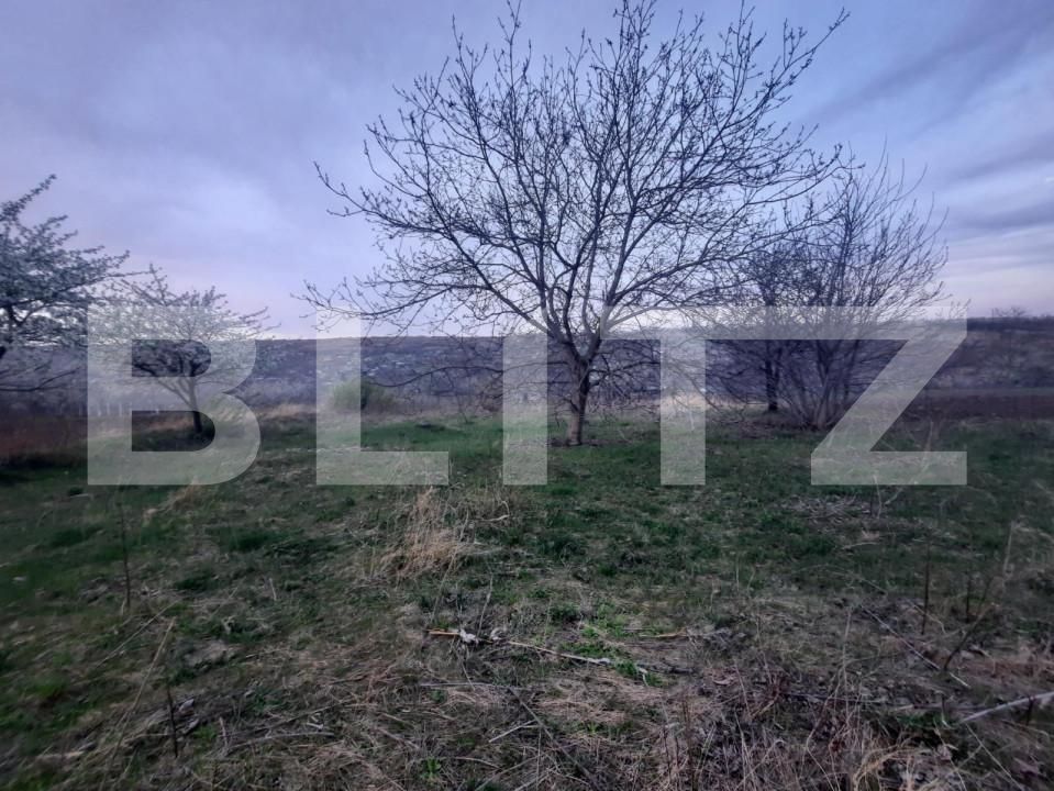 Teren de vânzare Comarna - 150758TV | BLITZ Iași | Poza5