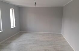 Case plan parter, 87 mp,400 mp teren, Ciurea