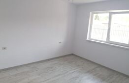 Case plan parter, 87 mp,400 mp teren, Ciurea