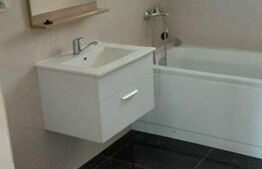 Case plan parter, 87 mp,400 mp teren, Ciurea