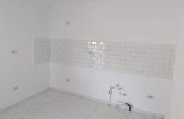 Case plan parter, 87 mp,400 mp teren, Ciurea