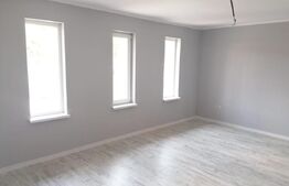 Case plan parter, 87 mp,400 mp teren, Ciurea