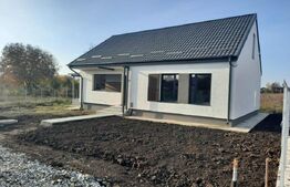 Casa superba 83 mp utili+ 50 mp mansarda, 407 mp, Holboca