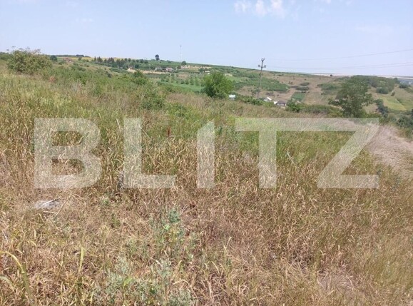 Teren de vânzare Sorogari - 150769TV | BLITZ Iași | Poza1