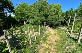 Casa veche 52mp utili, 217mp teren,  Zona Centrala