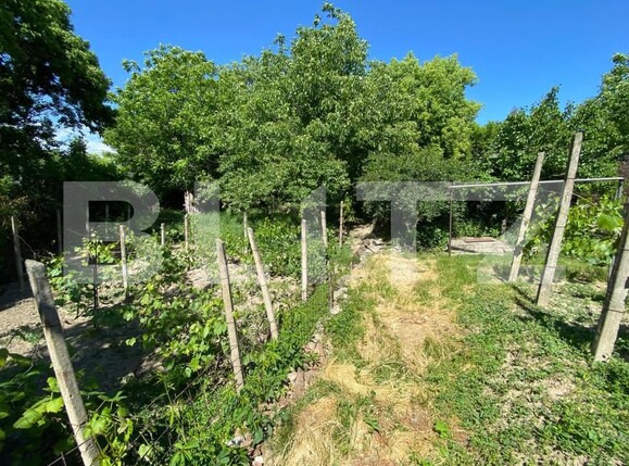 Casa de vânzare 3 camere Central - 150788CV | BLITZ Iași | Poza2