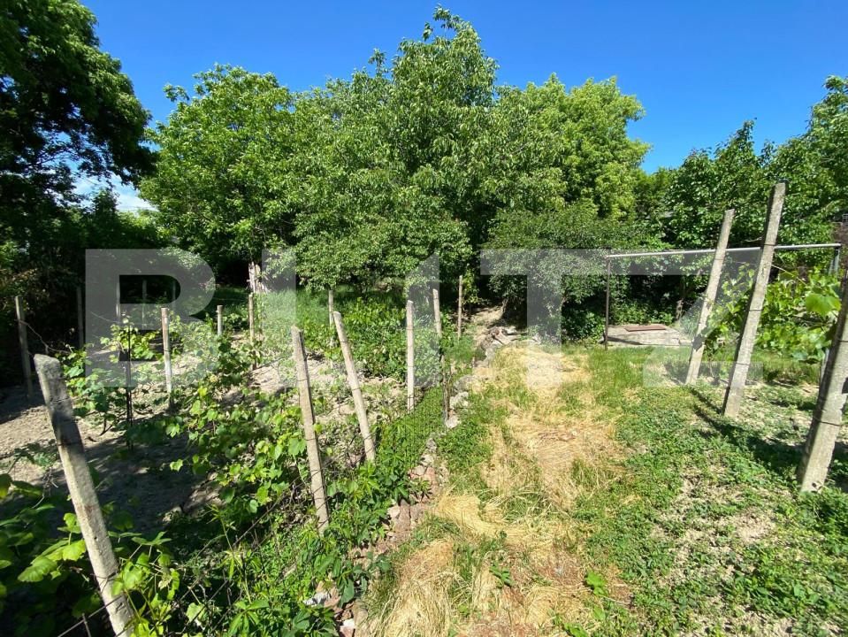 Casa de vânzare 3 camere Central - 150788CV | BLITZ Iași | Poza2