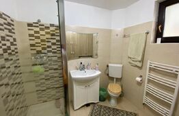 Casa individuala 106mp utili, 540mp teren Horpaz