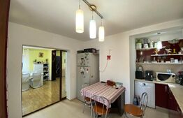 Casa individuala 106mp utili, 540mp teren Horpaz