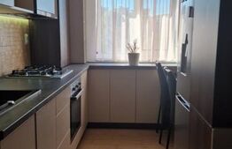 Apartament de 1 camere, 38 mp, zona Valea Adanca