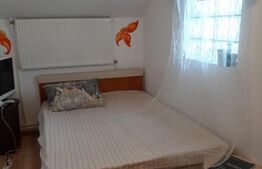 Apartament de 1 camere, 28 mp, zona Centru