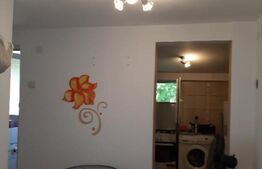 Apartament de 1 camere, 28 mp, zona Centru